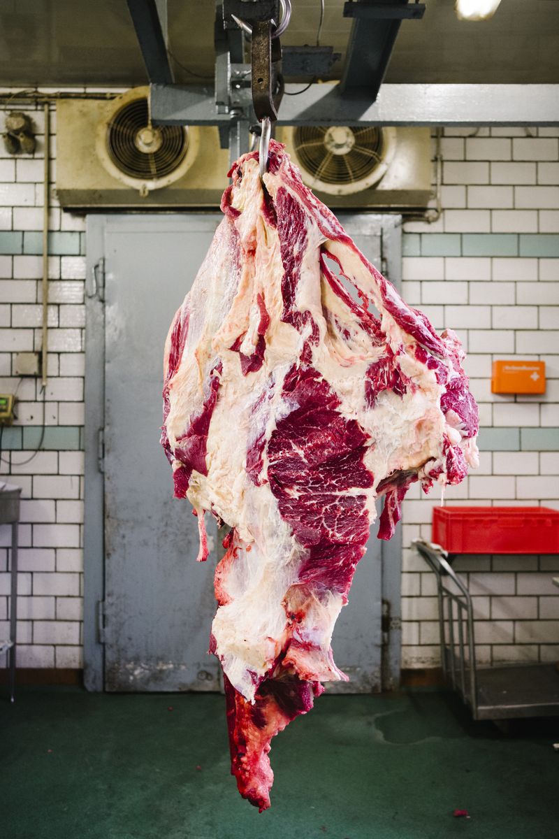WT Magazin Fleisch hängend
