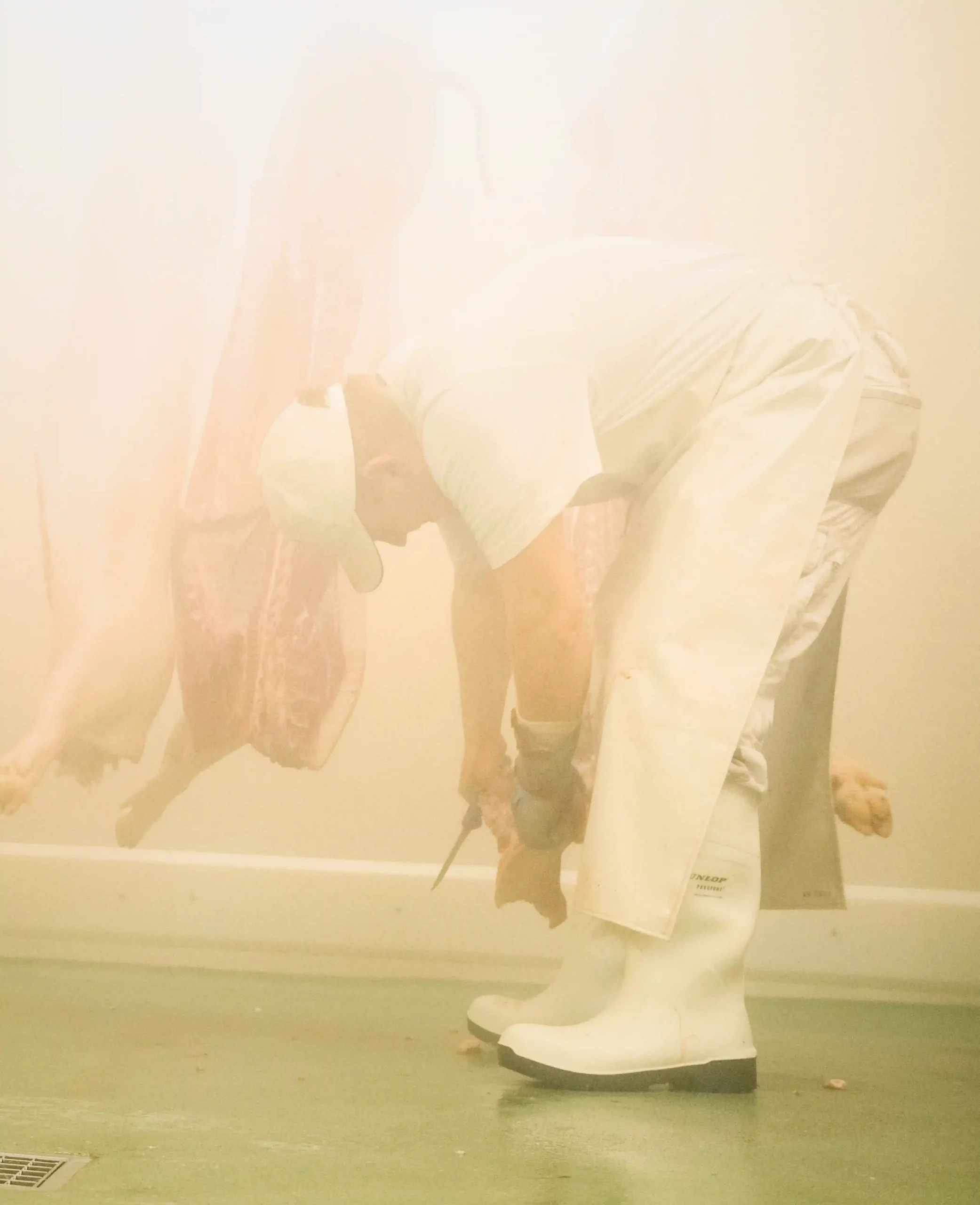 Landfleischerei Bronkow Produktion 4